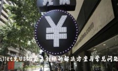 tpWallet充USDT后未到账的解