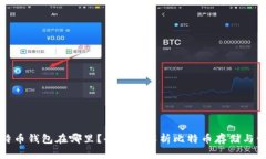 比特币钱包在哪里？全方
