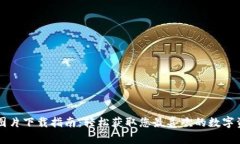 区块链钱包图片下载指南