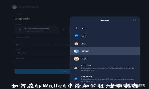 
如何在tpWallet中添加公链：全面指南