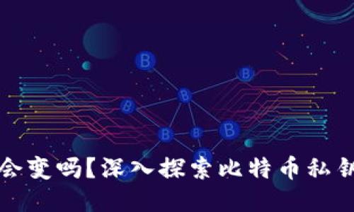 比特币钱包私钥会变吗？深入探索比特币私钥的本质与安全性