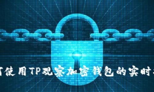 如何使用TP观察加密钱包的实时状态