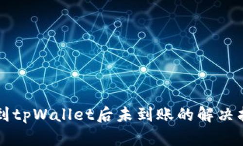 转到tpWallet后未到账的解决指南