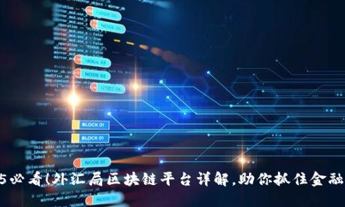 : 2025必看！外汇局区块链平台详解，助你抓住金融新机遇