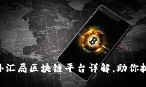 : 2025必看！外汇局区块链平台详解，助你抓住金融新机遇