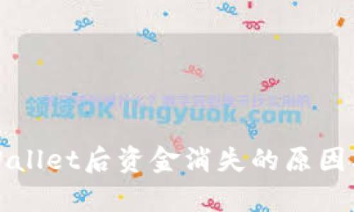 提币到tpWallet后资金消失的原因及解决办法