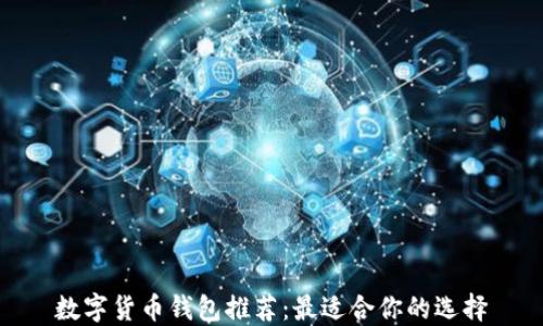 
数字货币钱包推荐：最适合你的选择