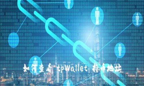 如何查看 tpWallet 持币地址