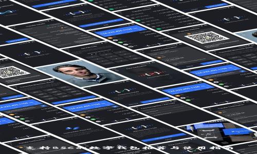 支持BSC的数字钱包推荐与使用指南