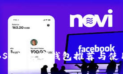 支持BSC的数字钱包推荐与使用指南