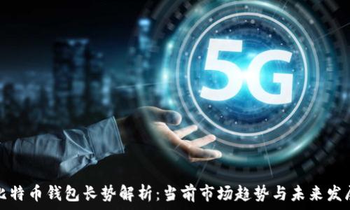   
比特币钱包长势解析：当前市场趋势与未来发展
