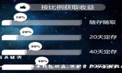 与关键词如何应对虚拟币钱包被盗：保护资产的